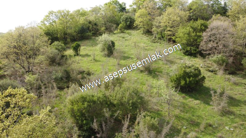 8.900 M2 Yatırımlık Tarla Arıcılık, Hayvancılık Orman'a Cepheli
