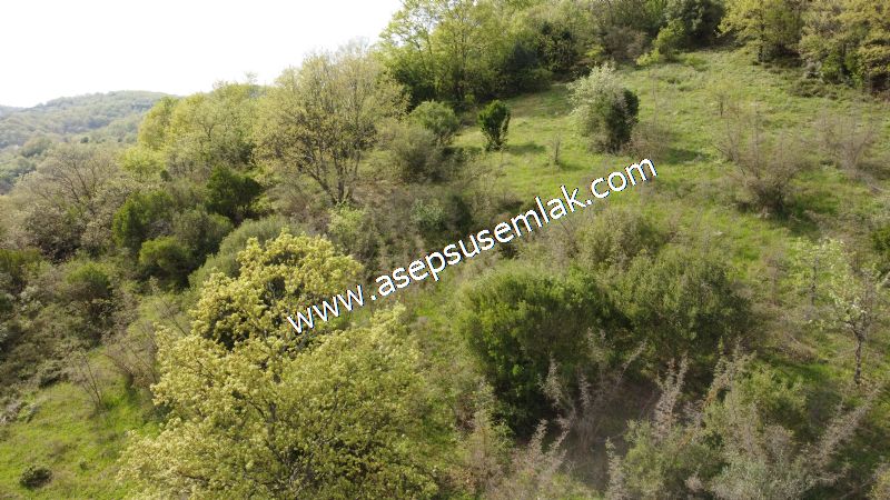 8.900 M2 Yatırımlık Tarla Arıcılık, Hayvancılık Orman'a Cepheli