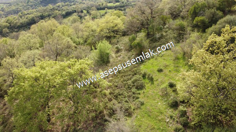 8.900 M2 Yatırımlık Tarla Arıcılık, Hayvancılık Orman'a Cepheli