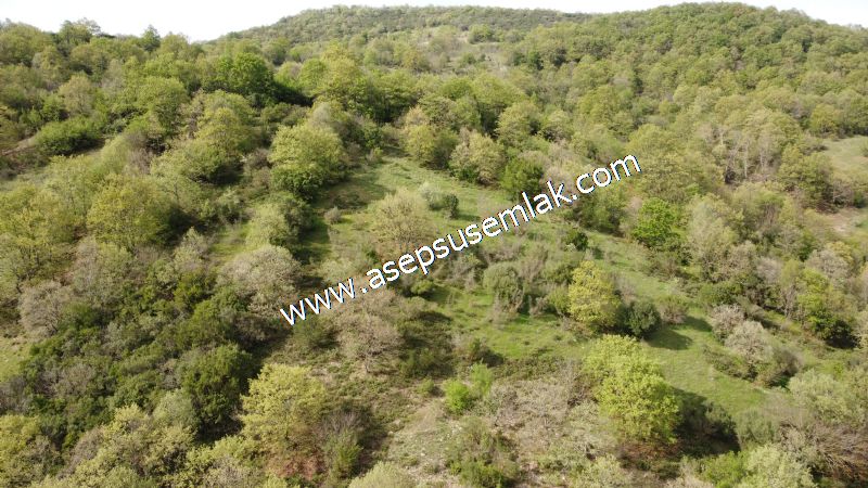 8.900 M2 Yatırımlık Tarla Arıcılık, Hayvancılık Orman'a Cepheli