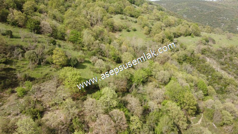 8.900 M2 Yatırımlık Tarla Arıcılık, Hayvancılık Orman'a Cepheli
