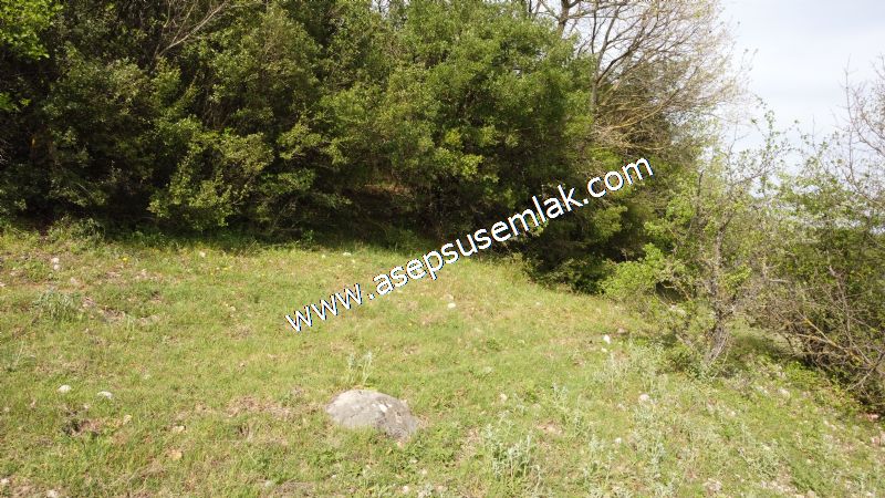 8.900 M2 Yatırımlık Tarla Arıcılık, Hayvancılık Orman'a Cepheli
