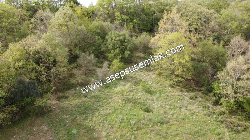8.900 M2 Yatırımlık Tarla Arıcılık, Hayvancılık Orman'a Cepheli
