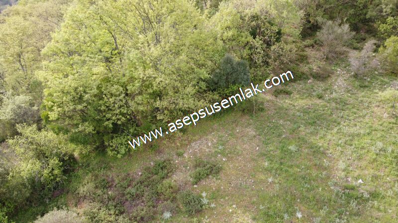 8.900 M2 Yatırımlık Tarla Arıcılık, Hayvancılık Orman'a Cepheli