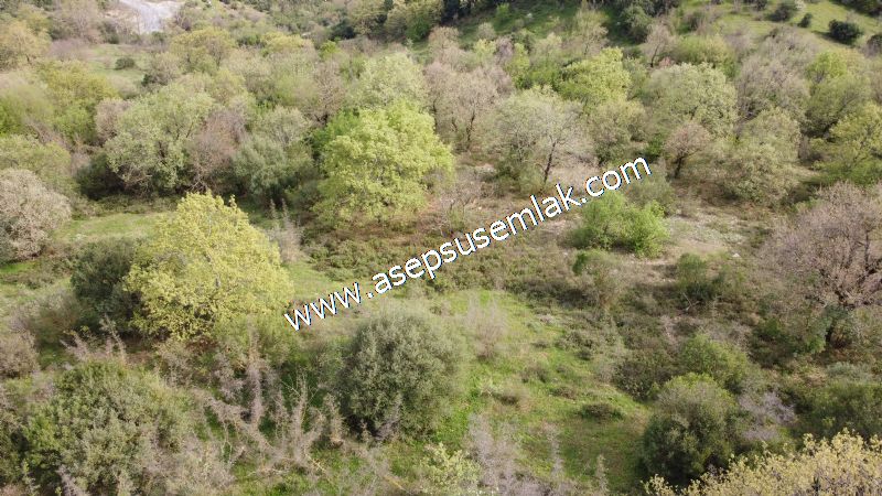 8.900 M2 Yatırımlık Tarla Arıcılık, Hayvancılık Orman'a Cepheli