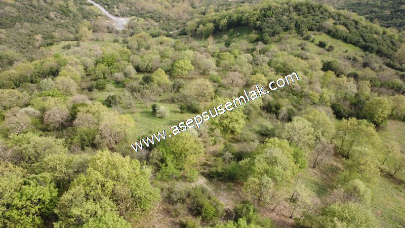8.900 M2 Yatırımlık Tarla Arıcılık, Hayvancılık Orman'a Cepheli