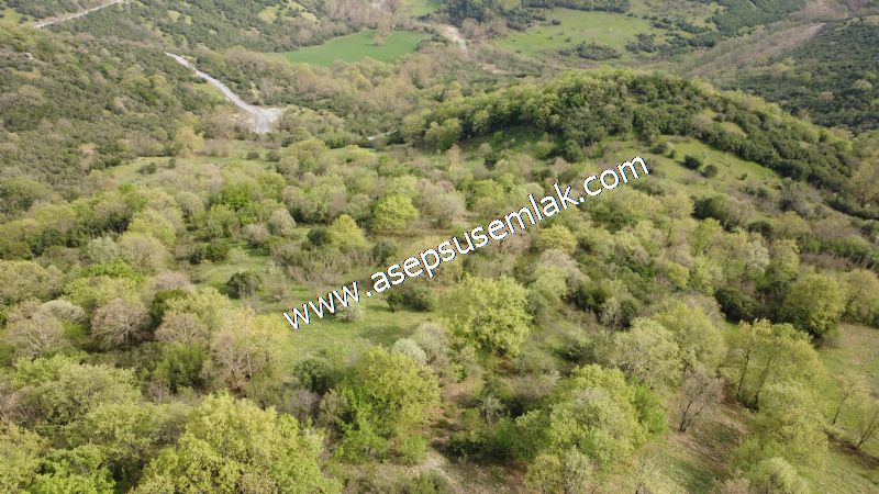 8.900 M2 Yatırımlık Tarla Arıcılık, Hayvancılık Orman'a Cepheli