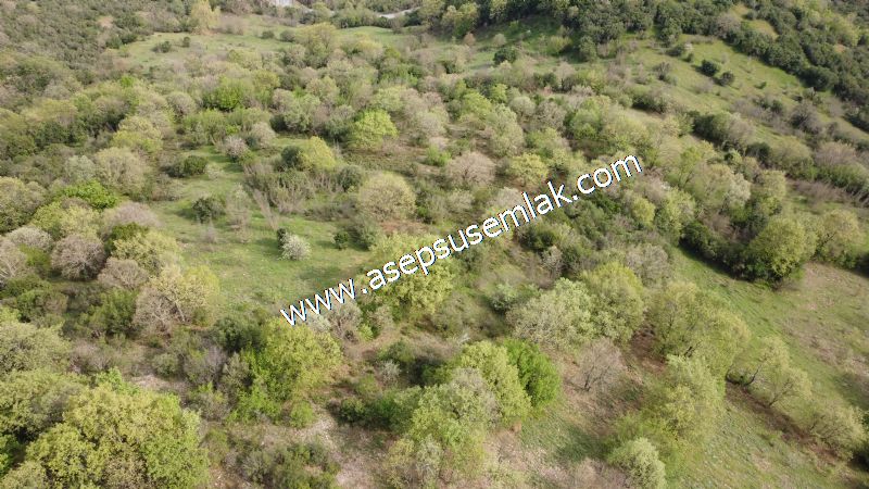 8.900 M2 Yatırımlık Tarla Arıcılık, Hayvancılık Orman'a Cepheli