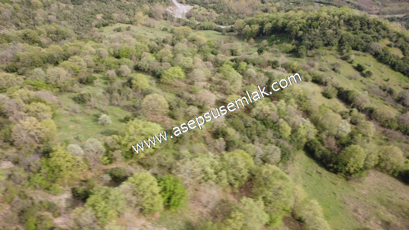 8.900 M2 Yatırımlık Tarla Arıcılık, Hayvancılık Orman'a Cepheli