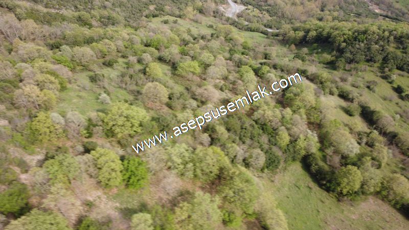 8.900 M2 Yatırımlık Tarla Arıcılık, Hayvancılık Orman'a Cepheli
