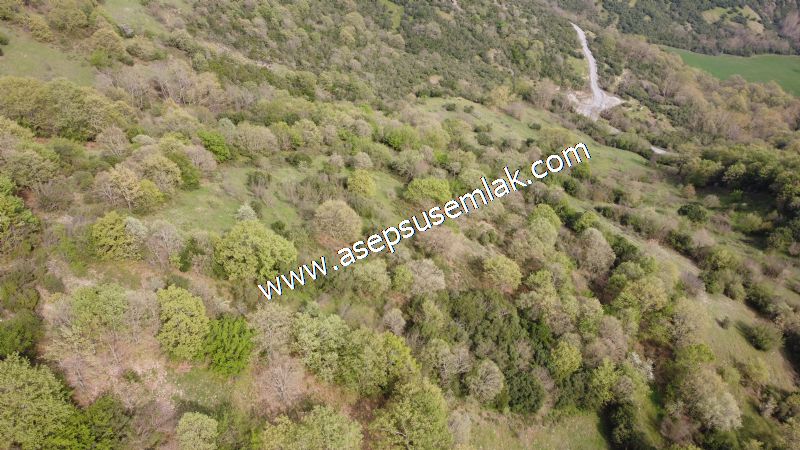 8.900 M2 Yatırımlık Tarla Arıcılık, Hayvancılık Orman'a Cepheli