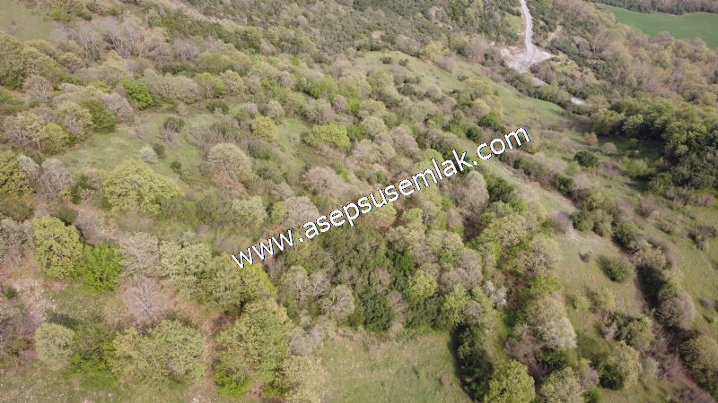 8.900 M2 Yatırımlık Tarla Arıcılık, Hayvancılık Orman'a Cepheli