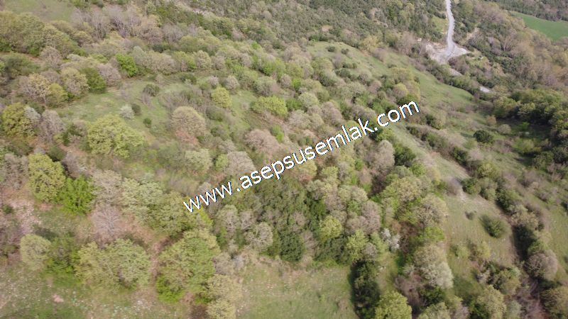 8.900 M2 Yatırımlık Tarla Arıcılık, Hayvancılık Orman'a Cepheli