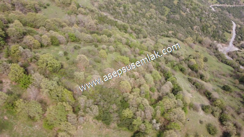8.900 M2 Yatırımlık Tarla Arıcılık, Hayvancılık Orman'a Cepheli
