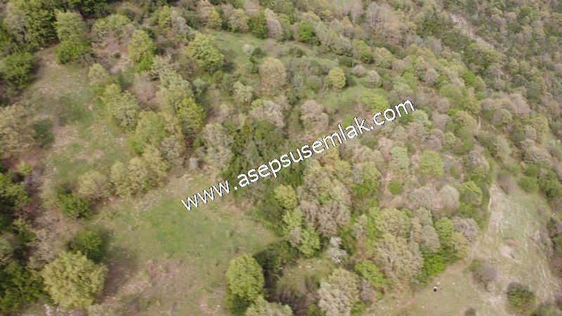 8.900 M2 Yatırımlık Tarla Arıcılık, Hayvancılık Orman'a Cepheli