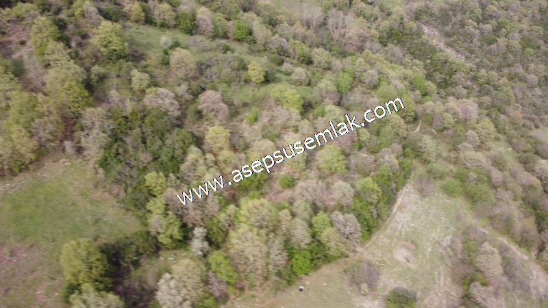 8.900 M2 Yatırımlık Tarla Arıcılık, Hayvancılık Orman'a Cepheli
