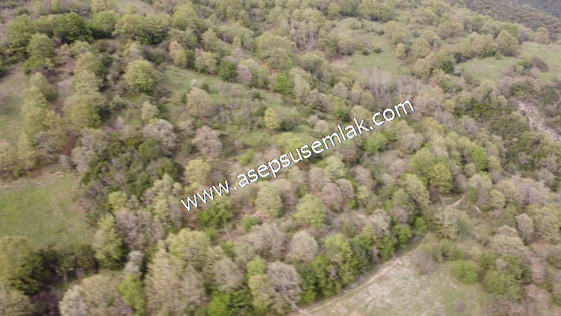 8.900 M2 Yatırımlık Tarla Arıcılık, Hayvancılık Orman'a Cepheli