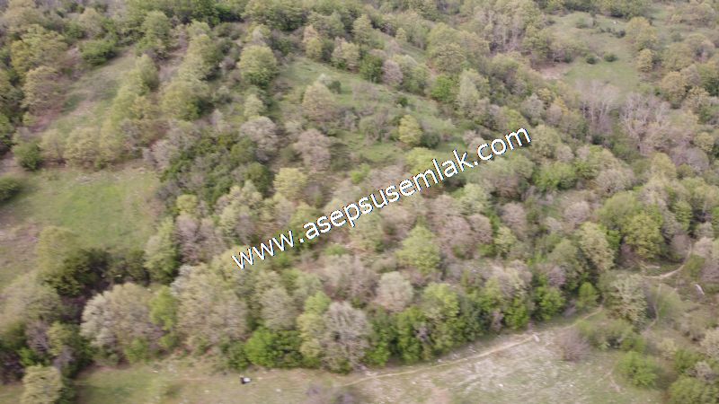 8.900 M2 Yatırımlık Tarla Arıcılık, Hayvancılık Orman'a Cepheli