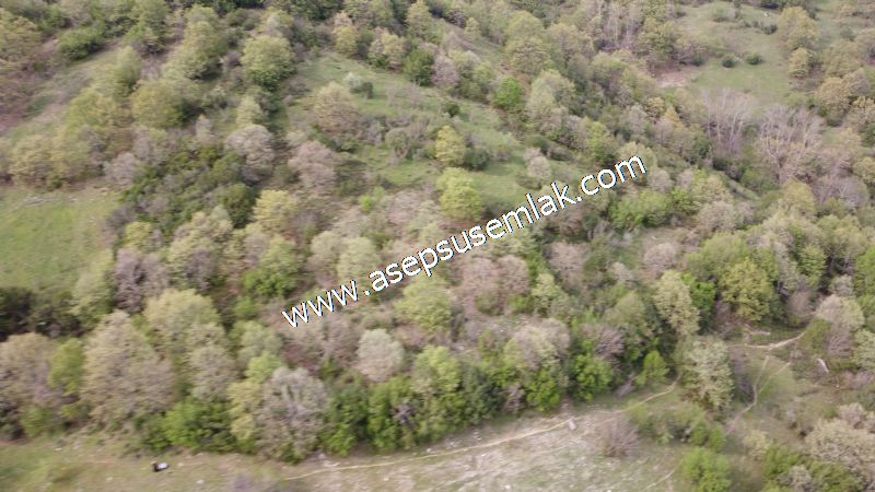 8.900 M2 Yatırımlık Tarla Arıcılık, Hayvancılık Orman'a Cepheli