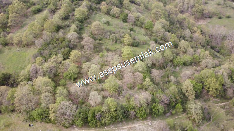 8.900 M2 Yatırımlık Tarla Arıcılık, Hayvancılık Orman'a Cepheli