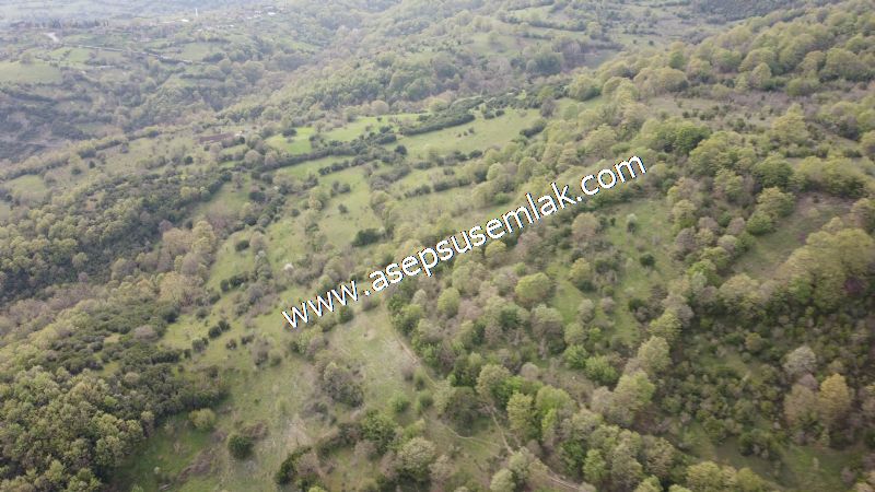 8.900 M2 Yatırımlık Tarla Arıcılık, Hayvancılık Orman'a Cepheli