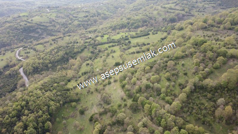 8.900 M2 Yatırımlık Tarla Arıcılık, Hayvancılık Orman'a Cepheli