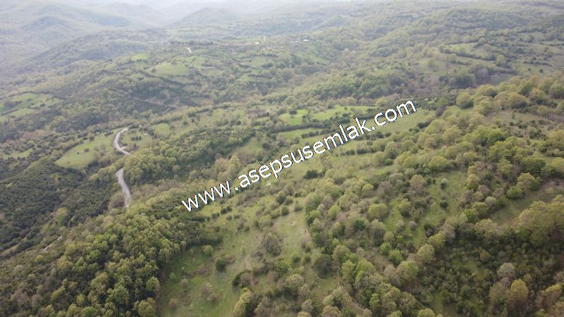 8.900 M2 Yatırımlık Tarla Arıcılık, Hayvancılık Orman'a Cepheli