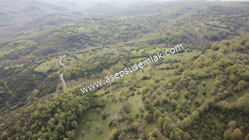 8.900 M2 Yatırımlık Tarla Arıcılık, Hayvancılık Orman'a Cepheli