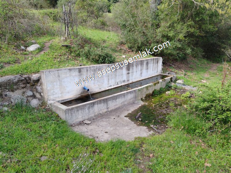 8.900 M2 Yatırımlık Tarla Arıcılık, Hayvancılık Orman'a Cepheli