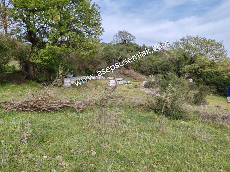 8.900 M2 Yatırımlık Tarla Arıcılık, Hayvancılık Orman'a Cepheli