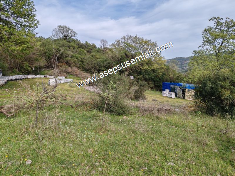 8.900 M2 Yatırımlık Tarla Arıcılık, Hayvancılık Orman'a Cepheli