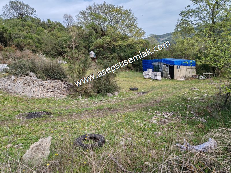8.900 M2 Yatırımlık Tarla Arıcılık, Hayvancılık Orman'a Cepheli