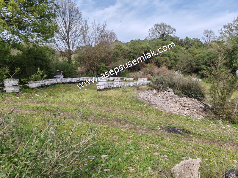 8.900 M2 Yatırımlık Tarla Arıcılık, Hayvancılık Orman'a Cepheli