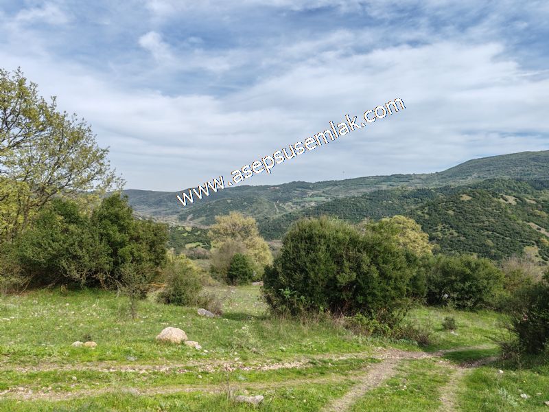 8.900 M2 Yatırımlık Tarla Arıcılık, Hayvancılık Orman'a Cepheli
