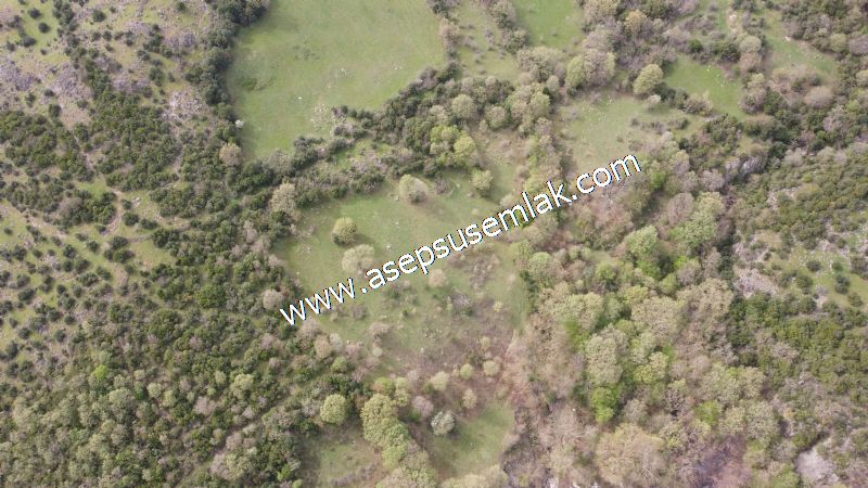 8.115 M2 Yatırımlık Tarla Arıcılık, Hayvancılık Orman'a Cepheli