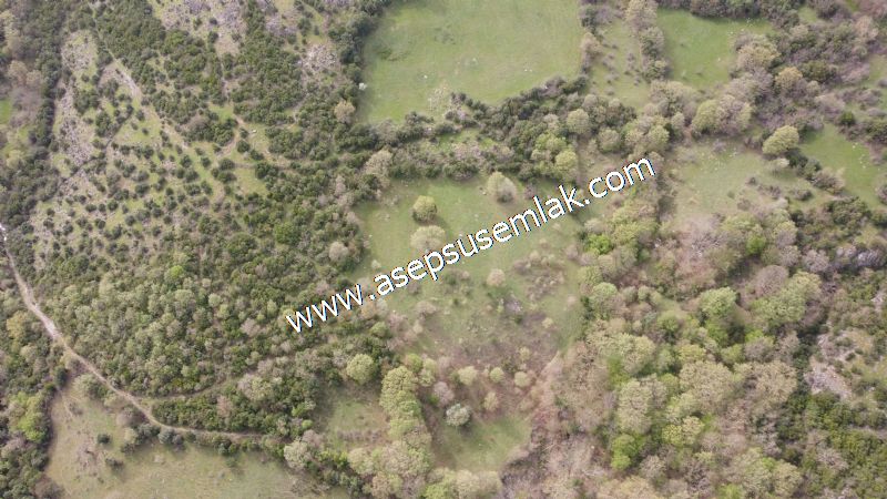 8.115 M2 Yatırımlık Tarla Arıcılık, Hayvancılık Orman'a Cepheli