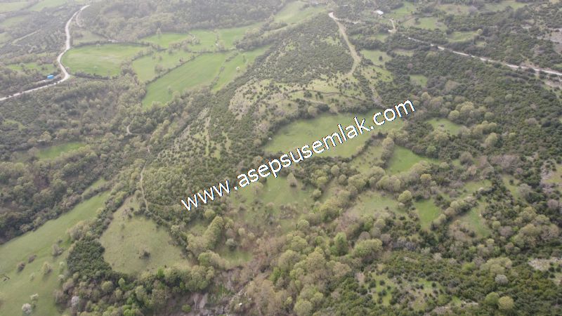 8.115 M2 Yatırımlık Tarla Arıcılık, Hayvancılık Orman'a Cepheli