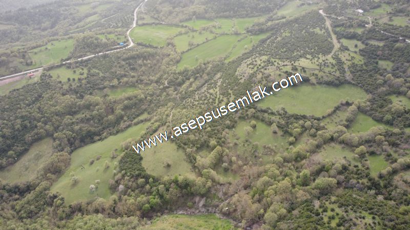8.115 M2 Yatırımlık Tarla Arıcılık, Hayvancılık Orman'a Cepheli