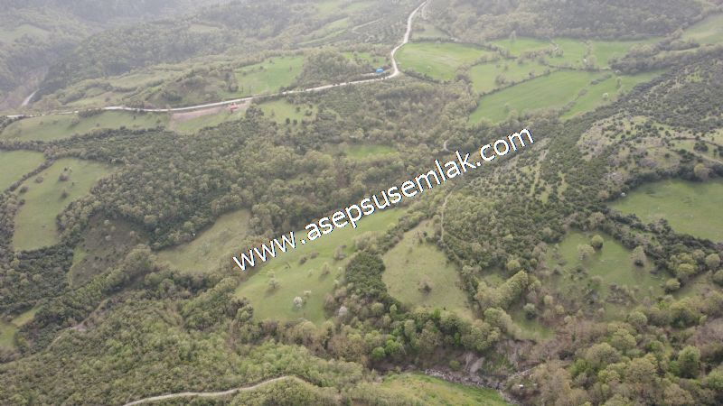 8.115 M2 Yatırımlık Tarla Arıcılık, Hayvancılık Orman'a Cepheli