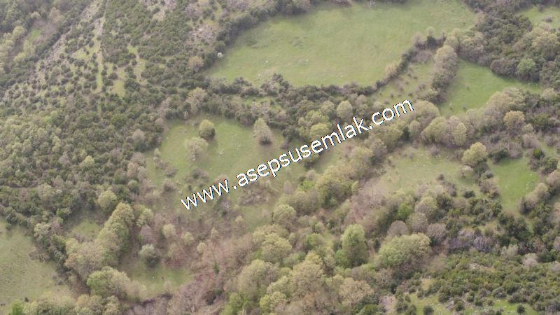 8.115 M2 Yatırımlık Tarla Arıcılık, Hayvancılık Orman'a Cepheli