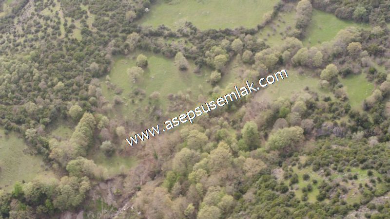 8.115 M2 Yatırımlık Tarla Arıcılık, Hayvancılık Orman'a Cepheli