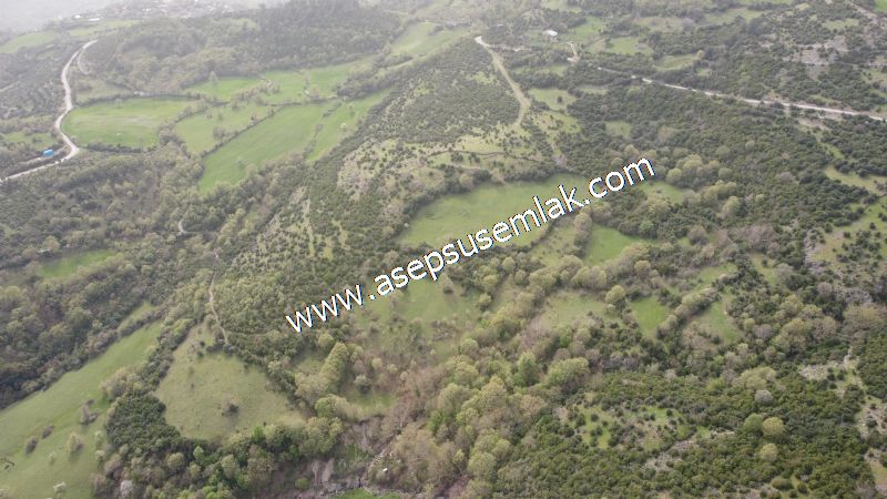 8.115 M2 Yatırımlık Tarla Arıcılık, Hayvancılık Orman'a Cepheli