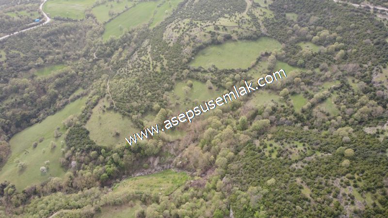 8.115 M2 Yatırımlık Tarla Arıcılık, Hayvancılık Orman'a Cepheli