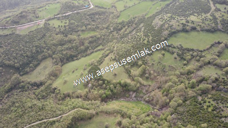 8.115 M2 Yatırımlık Tarla Arıcılık, Hayvancılık Orman'a Cepheli