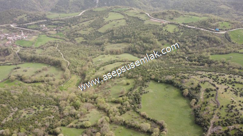 8.115 M2 Yatırımlık Tarla Arıcılık, Hayvancılık Orman'a Cepheli