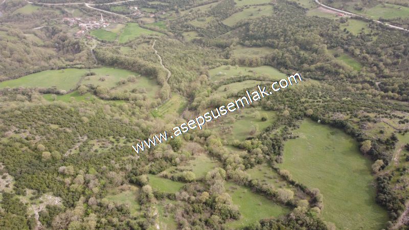 8.115 M2 Yatırımlık Tarla Arıcılık, Hayvancılık Orman'a Cepheli