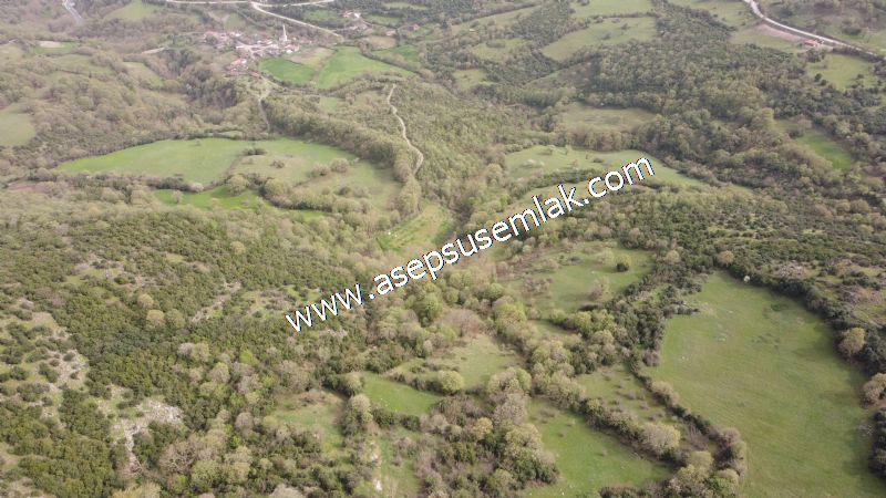 8.115 M2 Yatırımlık Tarla Arıcılık, Hayvancılık Orman'a Cepheli