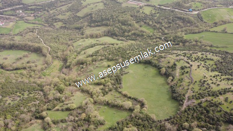 8.115 M2 Yatırımlık Tarla Arıcılık, Hayvancılık Orman'a Cepheli