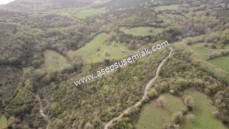 8.115 M2 Yatırımlık Tarla Arıcılık, Hayvancılık Orman'a Cepheli