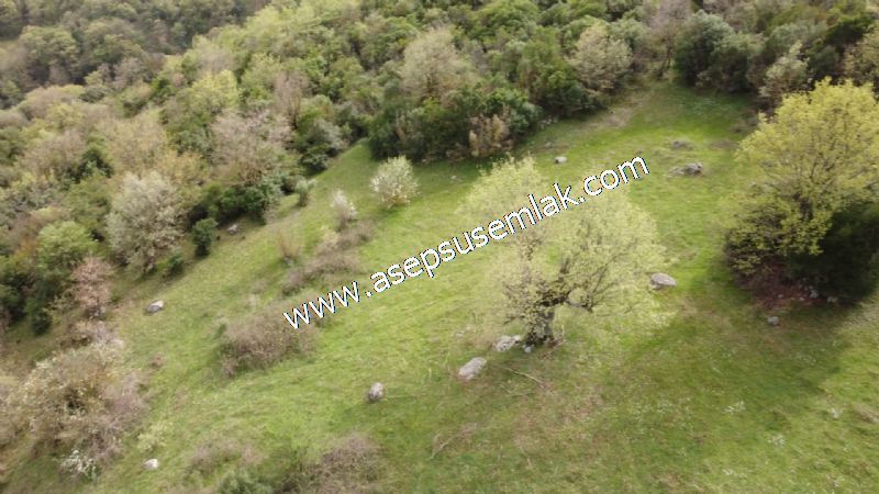 8.115 M2 Yatırımlık Tarla Arıcılık, Hayvancılık Orman'a Cepheli